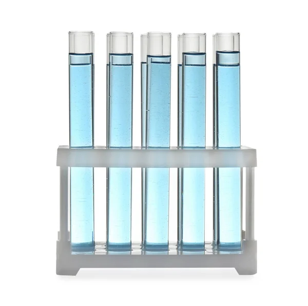 Test tubes with light blue liquid in rack isolated on white — 스톡 사진