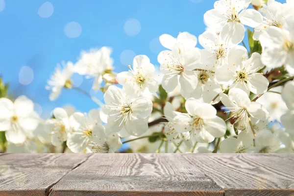 Asztal Gyönyörű Cseresznyefa Tavasz — Stock Fotó