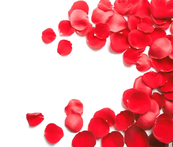 Fresh red rose petals on white background, top view — 스톡 사진