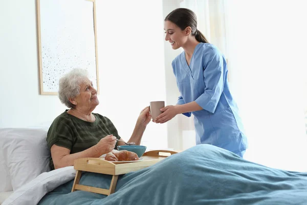 Zorgverlener serveert diner voor oudere vrouw in geriatrisch ziekenhuis — Stockfoto