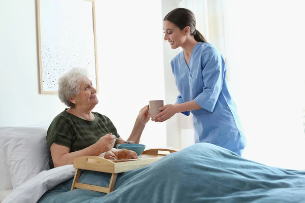 Care worker serving dinner for elderly woman in geriatric hospic — 스톡 사진