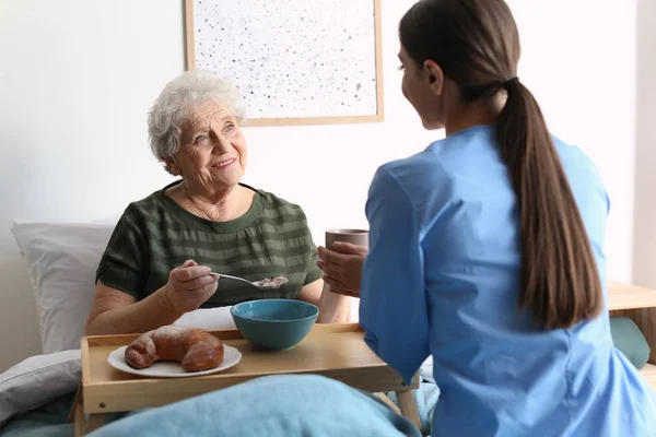 Opiekun obsługujący kolację dla starszej kobiety w geriatrycznym hospicjum — Zdjęcie stockowe