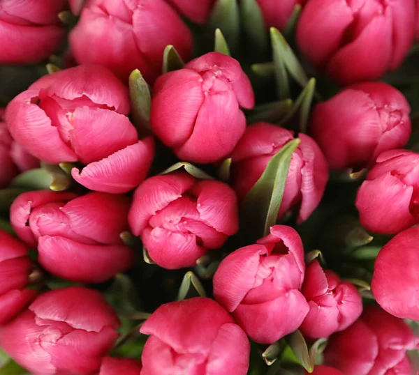 Beau bouquet de fleurs de tulipes, gros plan. Décor floral — Photo