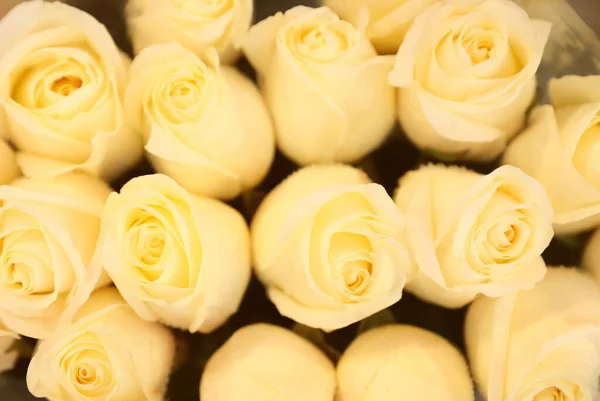 Vacker bukett av färska rosor, ovanifrån. Blommig inredning — Stockfoto