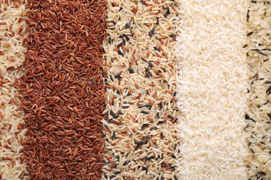 Arkaplan olarak farklı pirinç türleri, üst görünüm