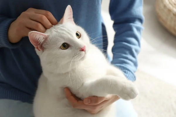 Jeune Femme Avec Son Beau Chat Blanc Maison Gros Plan — Photo