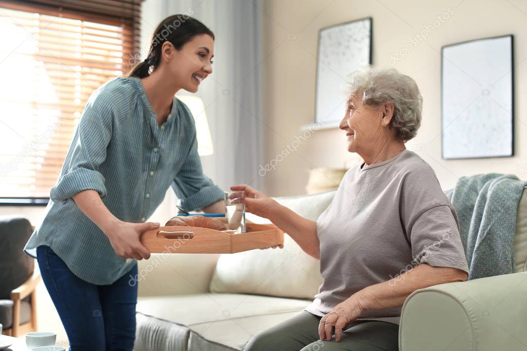 Young woman serving dinner for elderly woman in living room. Sen