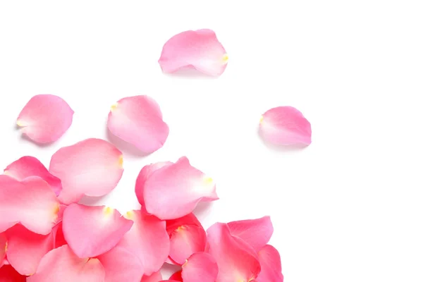 Świeże różowe płatki róż na białym tle, widok z góry — Zdjęcie stockowe