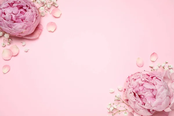Bela Composição Floral Com Peônias Fundo Rosa Flat Lay Espaço — Fotografia de Stock