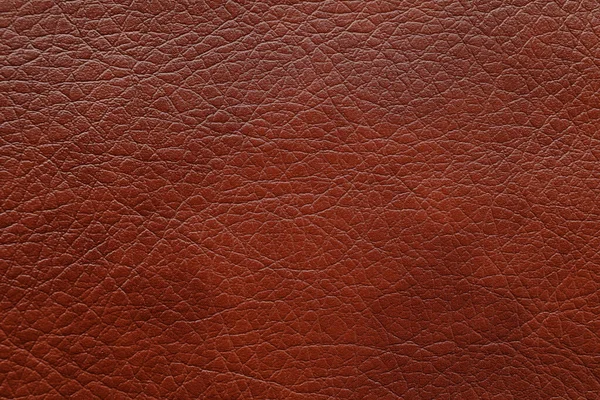 Texture Brown Leather Background Closeup — 스톡 사진