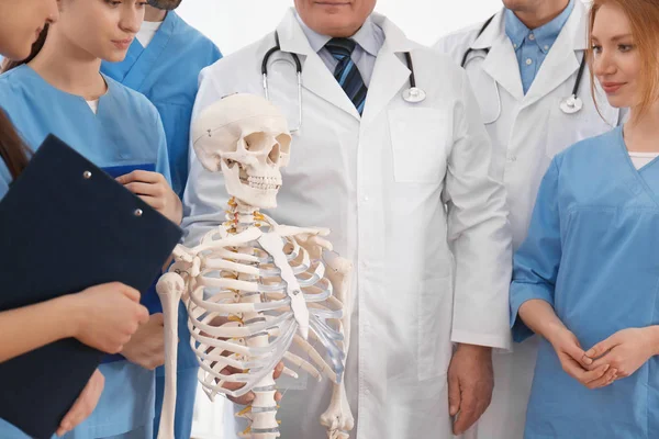 İnsan iskeleti modeli öğreten profesyonel bir ortopedist. — Stok fotoğraf