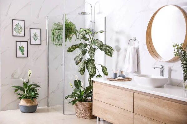 Grüne Pflanzen im eleganten modernen Badezimmer. Innenausbau — Stockfoto