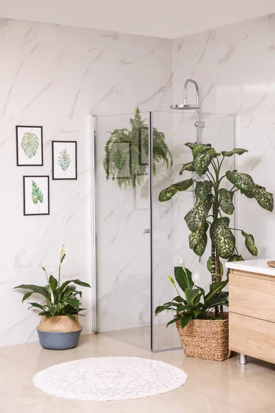 Зеленые растения в элегантной современной ванной комнате. Дизайн интерьера — стоковое фото