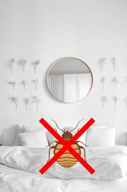 Clean mattress and pillows without bed bugs in room