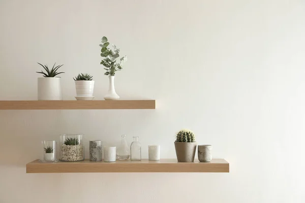 Wooden shelves with plants and decorative elements on light wall — Stok fotoğraf