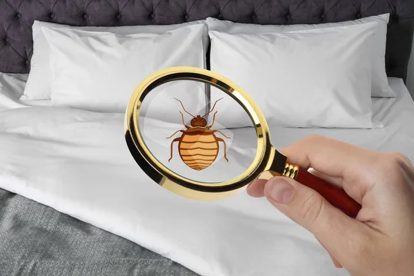 Cama com almofadas macias e macias em casa — Fotografia de Stock