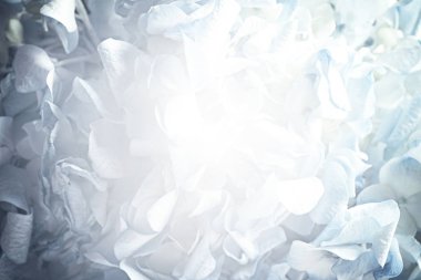 Güzel, narin bir buket, yakın plan. Klasik tarzda çiçek dekoru 