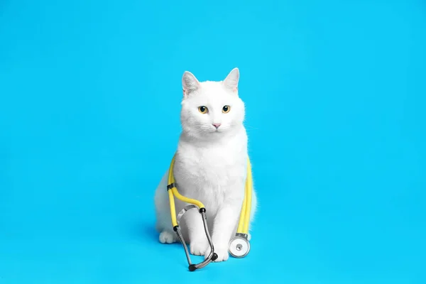 Cute Cat Stethoscope Veterinarian Light Blue Background — 스톡 사진