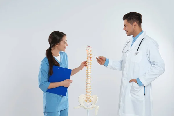 Professionele orthopeed met menselijk ruggengraat model onderwijs medische — Stockfoto