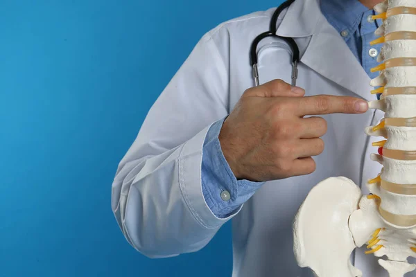 Ortopedista Masculino Con Modelo Columna Vertebral Humana Sobre Fondo Azul —  Fotos de Stock