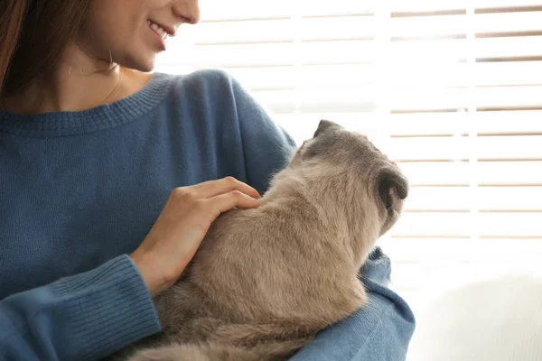 Young woman with cute cat at home, closeup. Fluffy pet — ストック写真