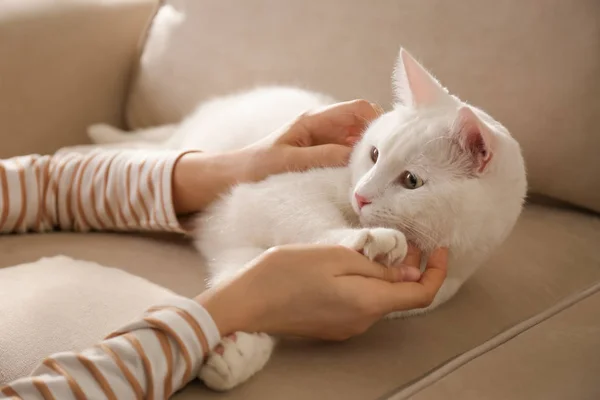 Jovem com seu belo gato branco em casa, close-up. Fluff... — Fotografia de Stock