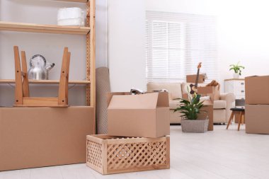 Oturma odasında karton kutular ve ev eşyaları. Taşınma günü