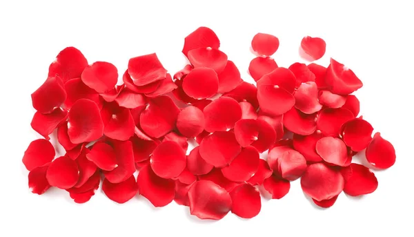 Pile of red rose petals on white background, top view — 图库照片