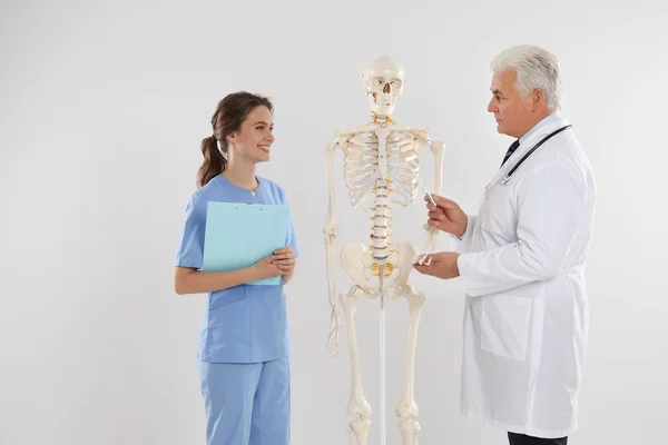 Профессиональный ортопед с моделью человеческого скелета — стоковое фото