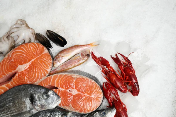 Čerstvé Ryby Mořské Plody Ledu Rovinatá Poloha — Stock fotografie