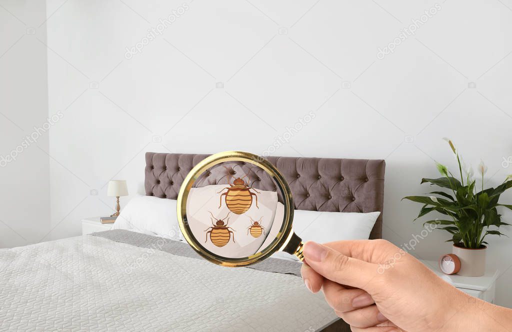 Woman with magnifying glass detecting bed bugs, closeup