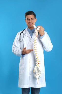 Male orthopedist with human spine model against blue background clipart