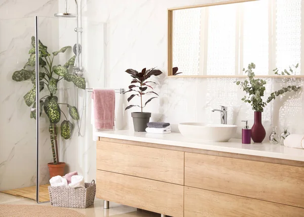 Stylish bathroom interior with countertop, shower stall and hous — Stock Photo, Image