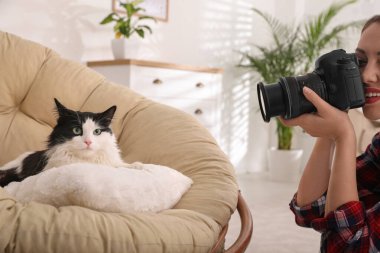 Profesyonel hayvan fotoğrafçısı evde güzel bir kedinin fotoğrafını çekiyor.