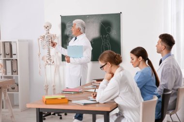 Tıp öğrencileri ve profesör sınıfta insan iskeleti anatomisi okuyor.