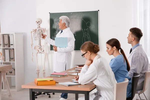 Tıp Öğrencileri Profesör Sınıfta Insan Iskeleti Anatomisi Okuyor — Stok fotoğraf