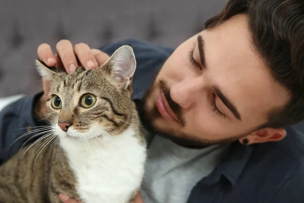 Man Cat Home Friendly Pet — Stock Photo, Image