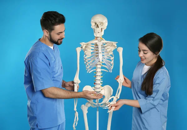 Mladí ortopedové s modelem lidské kostry na modrém pozadí — Stock fotografie