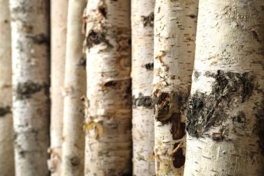 Yakacak odunları arka plan olarak kes, yakın plan. Kışın ısınma