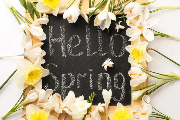Доска Словами Hello Spring Свежие Цветы Белом Фоне Плоский Лежал — стоковое фото