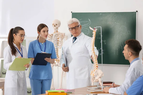 Medical students and professor studying human spine structure in classroom