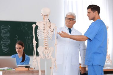 Tıp öğrencileri ve profesör sınıfta insan iskeleti anatomisi okuyor.