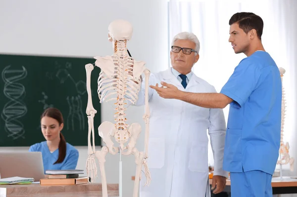 Medical students and professor studying human skeleton anatomy in classroom