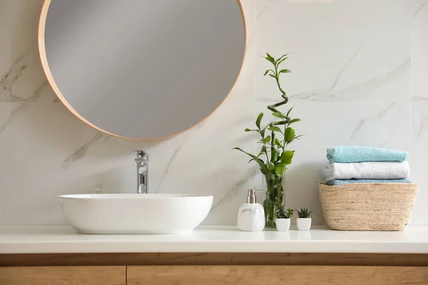 Beautiful Green Plants Vessel Sink Countertop Bathroom Interior Design Elements — Stock Photo, Image