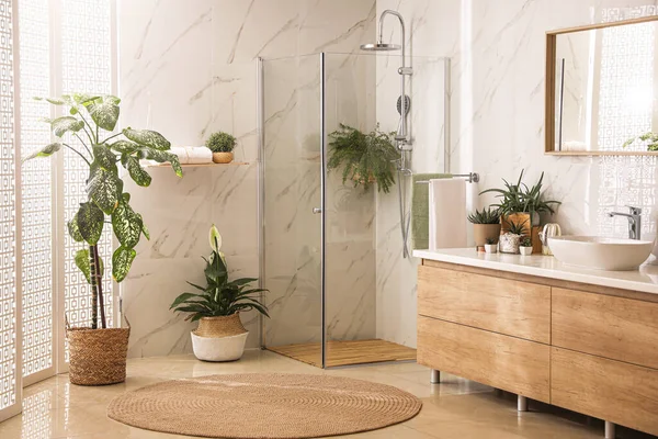 Élégant Intérieur Salle Bain Avec Comptoir Cabine Douche Plantes Intérieur — Photo