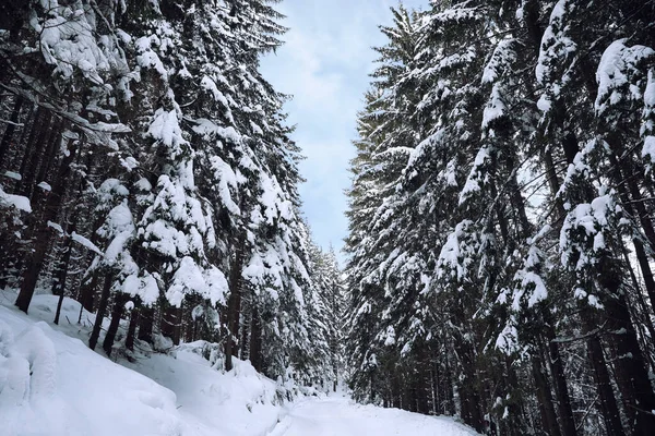 겨울에는 만년설로 뒤덮인 아름다운 — 스톡 사진