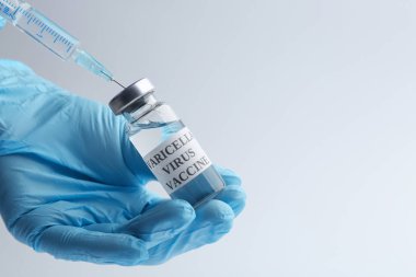 Doktorun şırıngayı suçiçeği aşısıyla doldurduğu açık gri arka plan, mesaj için boşluk. Varicella virüs önleme