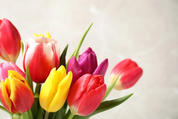 Hermosos Tulipanes Primavera Sobre Fondo Claro Primer Plano — Foto de Stock