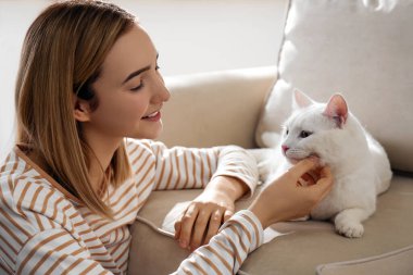 Young woman petting her beautiful white cat at home. Fluffy pet