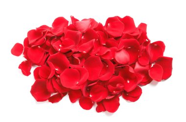 Pile of red rose petals on white background, top view